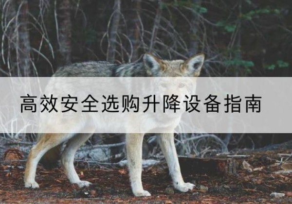 昌黎升降货梯厂家推荐-*安全选购升降设备指南