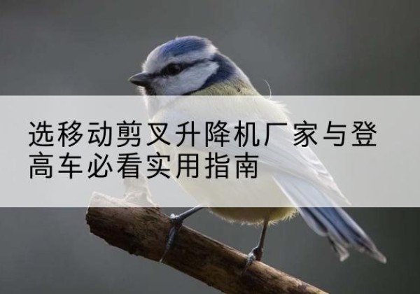 昌黎电动升降机厂家-选移动剪叉升降机厂家与登高车必看实用指南