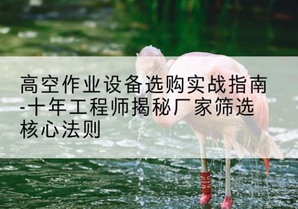昌黎剪叉式升降机厂家-高空作业设备选购实战指南-十年工程师揭秘厂家筛选核心法则